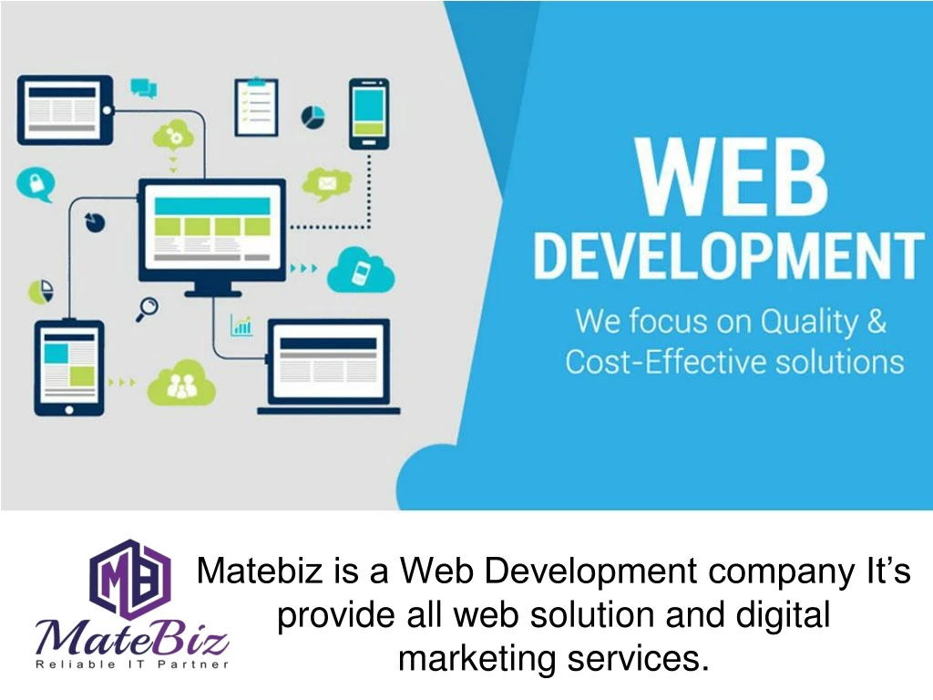 matebiz is a web development company it s provide