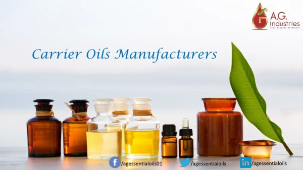 Carrier Oils Manufacturers