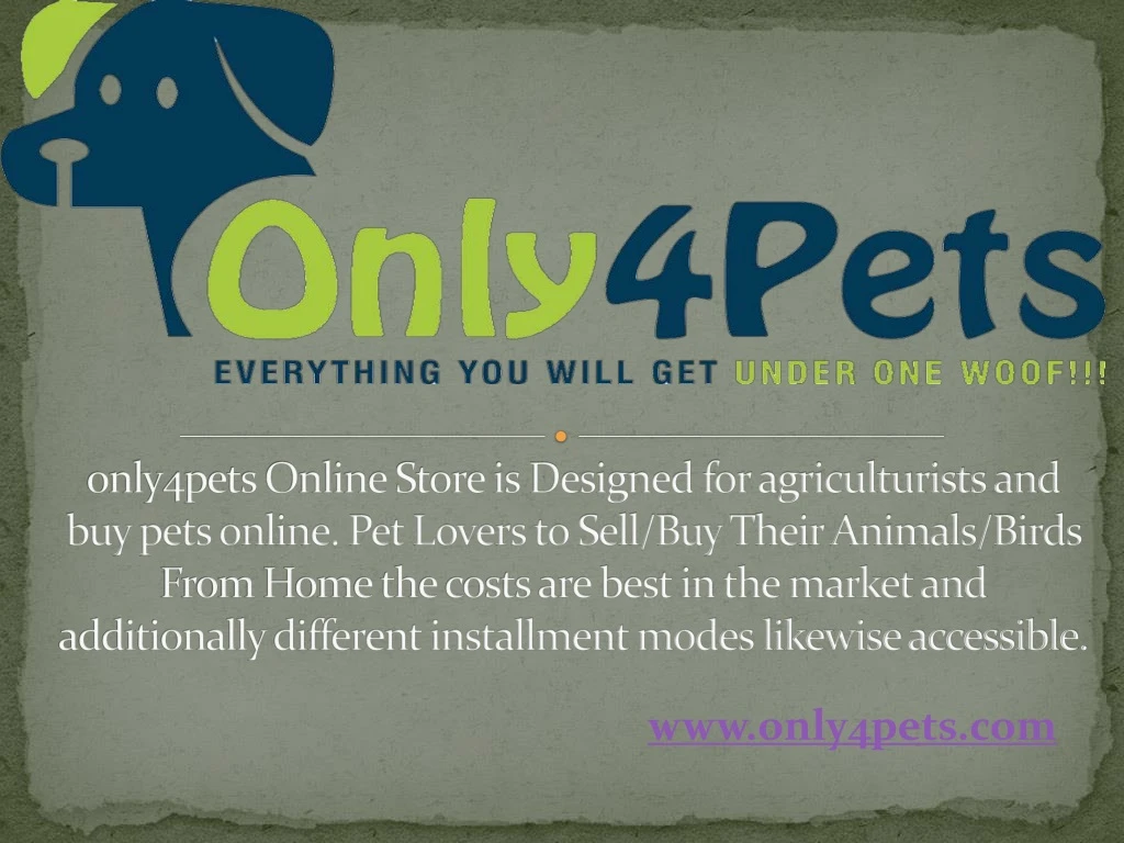 only4pets online store is designed