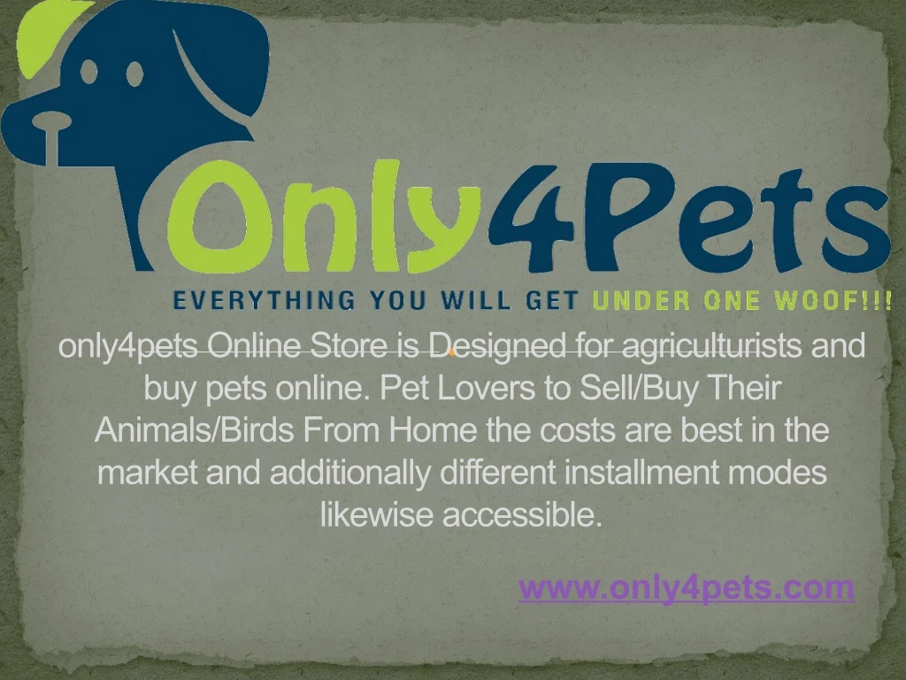 only4pets online store is designed