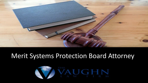 Merit Systems Protection Board Attorney