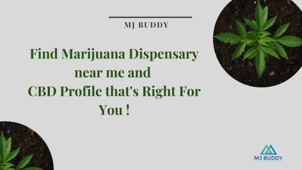 Find Marijuana Dispensaries Near You at MJ Buddy