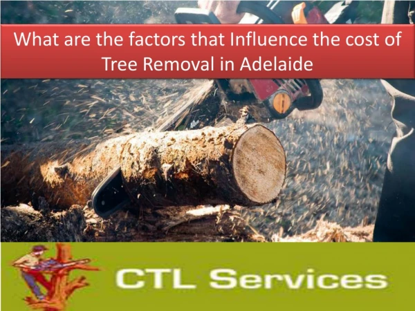 What are the factors that Influence the cost of Tree Removal in Adelaide