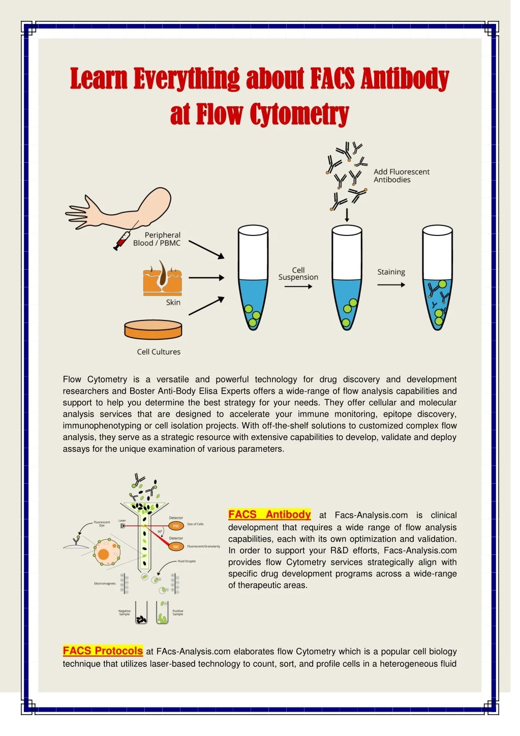 learn everything about facs antibody learn