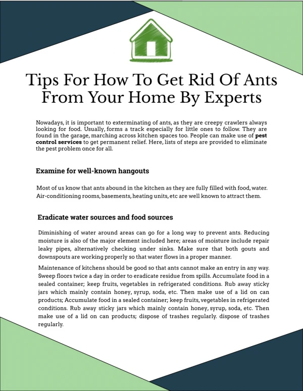 Tips for how to get rid of ants from your home by experts