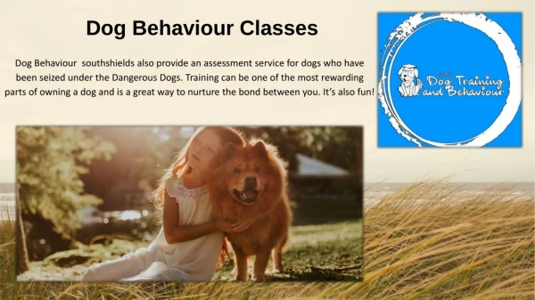 dog behaviour classes