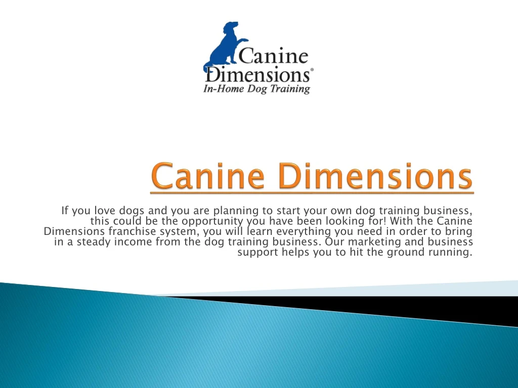 canine dimensions