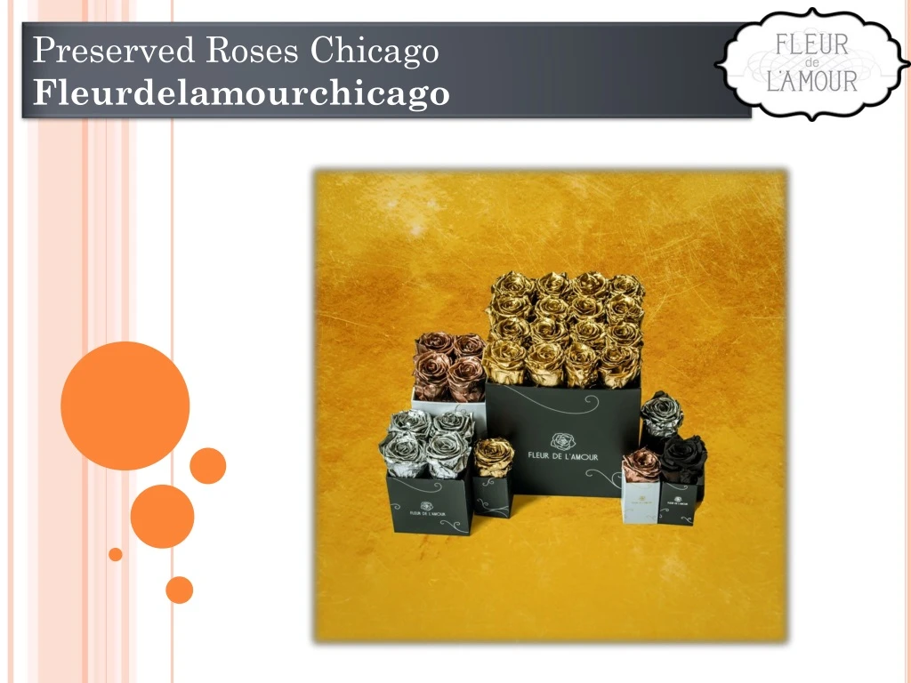 preserved roses chicago fleurdelamourchicago