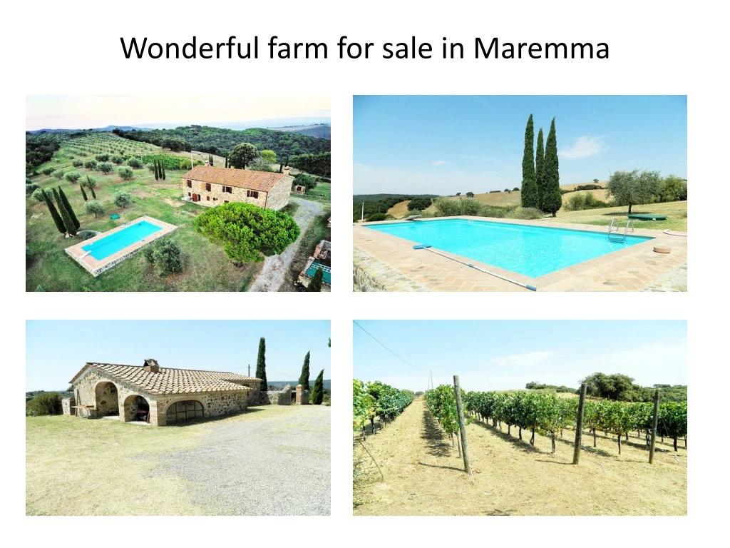 wonderful farm for sale in maremma