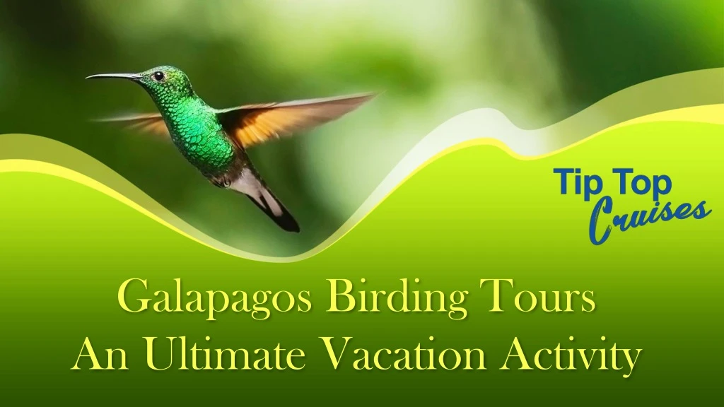 galapagos birding tours an ultimate vacation activity