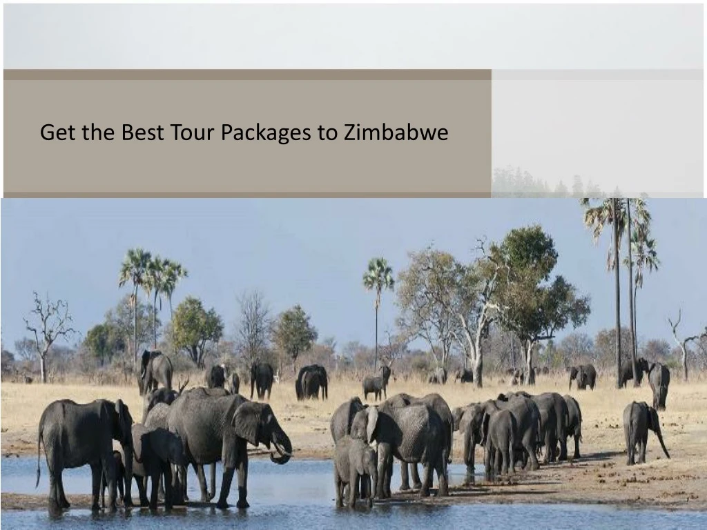 get the best tour packages to zimbabwe