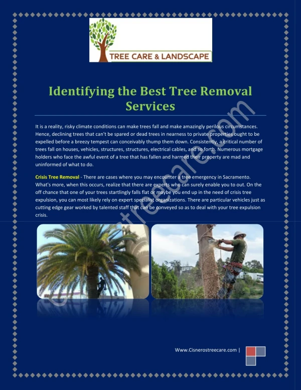 Best tree removal services in sacramento at cisnerostreecare.com