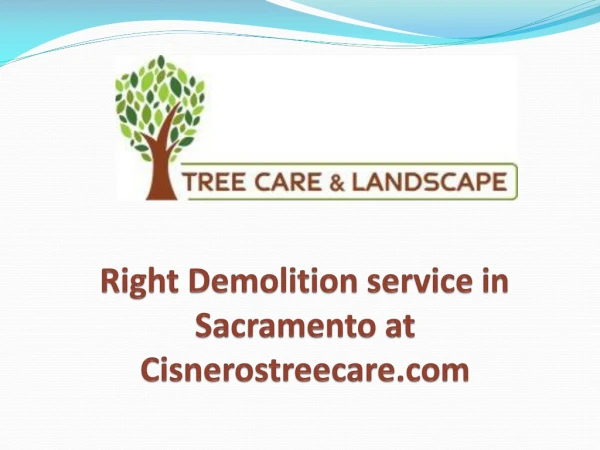 Right demolition service in sacramento at cisnerostreecare.com