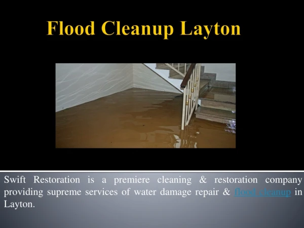 Flood Cleanup Layton