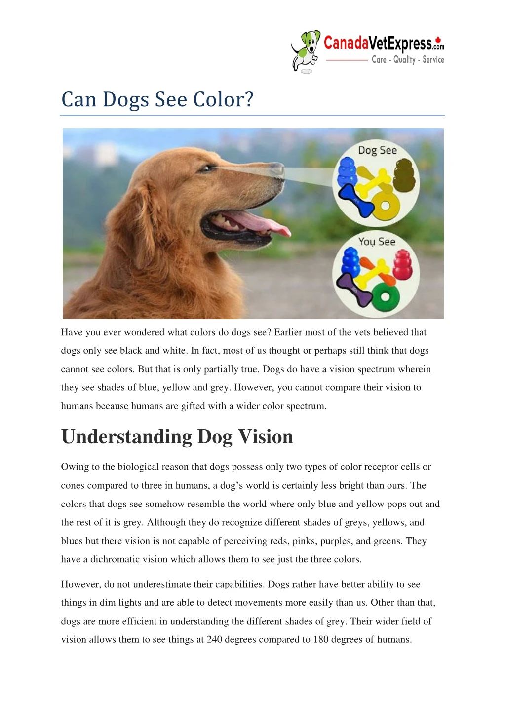 can dogs see color