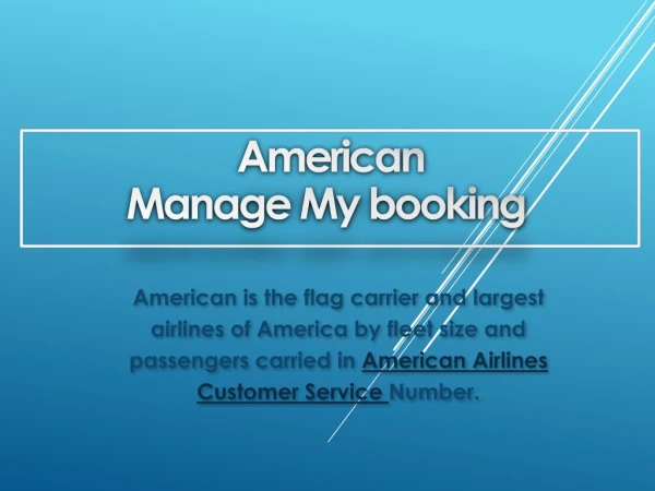 Call American Airlines Service