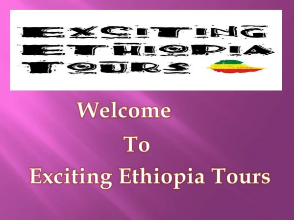 Best Tour Operator Company in Ethiopia