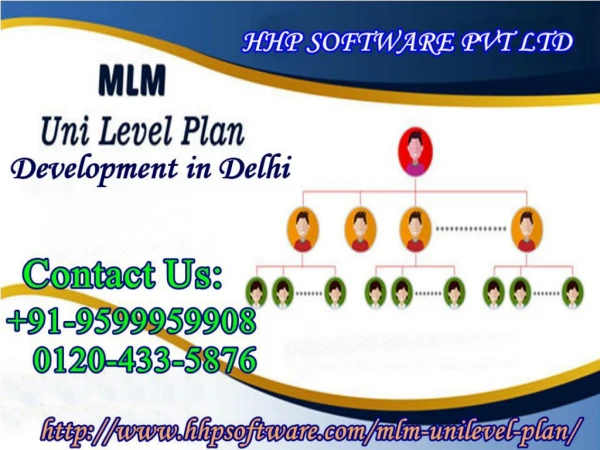 Choosing a company related to Mlm Unilevel Plan Development in Delhi
