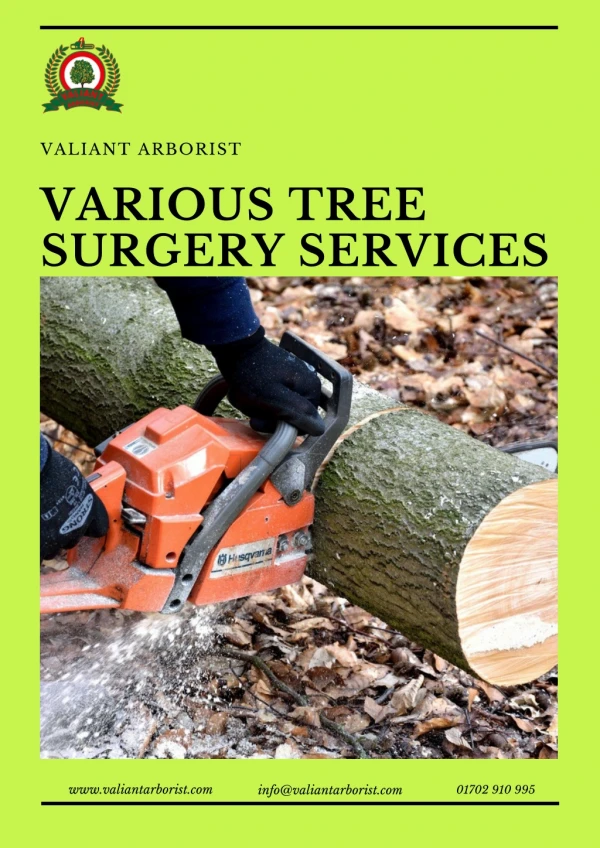 Various Tree Surgery Services Provided by Valiant Arborist
