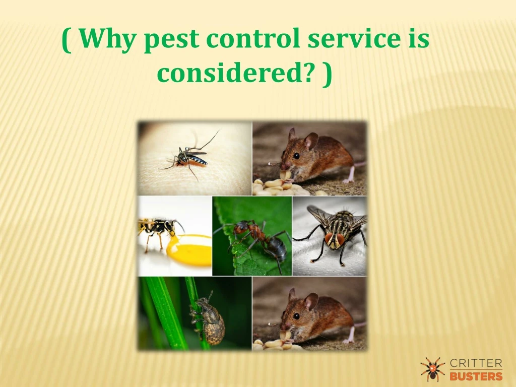 why pest control service is considered