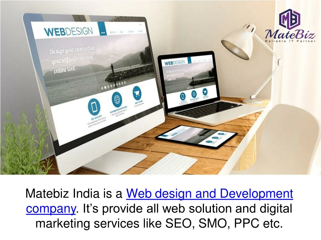 matebiz india is a web design and development