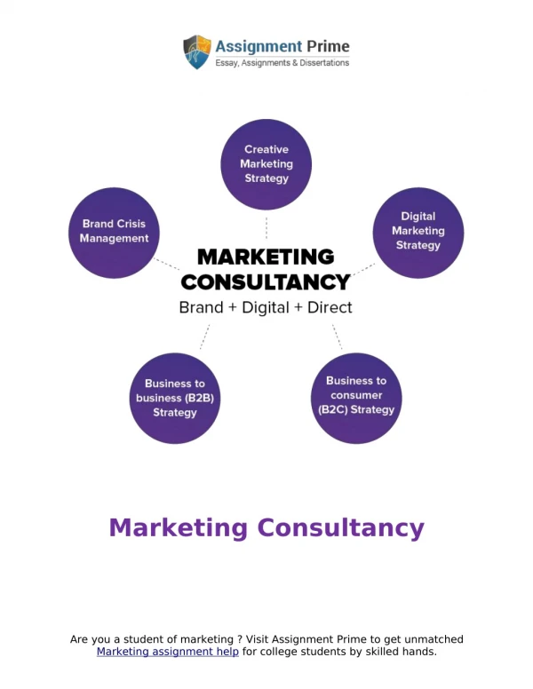 Free Sample Report on Marketing Consultancy by Assignment Prime