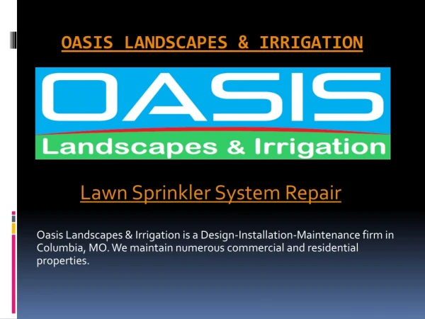 Lawn Sprinkler System Repair