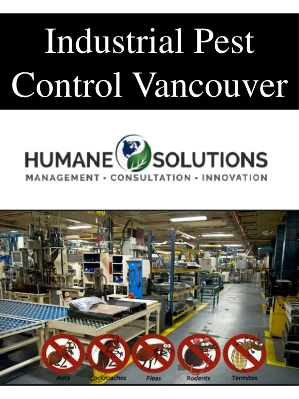 Industrial Pest Control Vancouver
