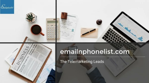 The Telemarketing Leads