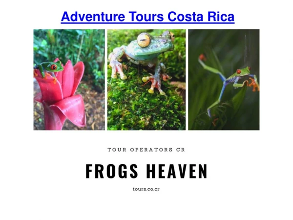 Tour Operator in Costa Rica