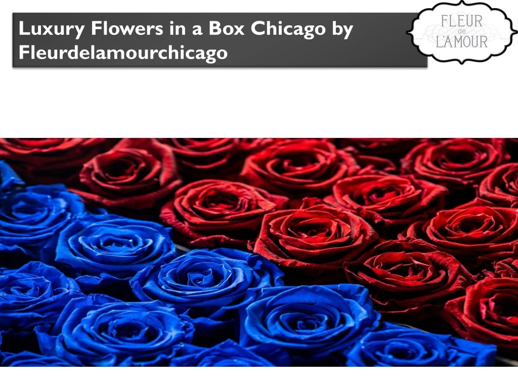 luxury flowers in a box chicago