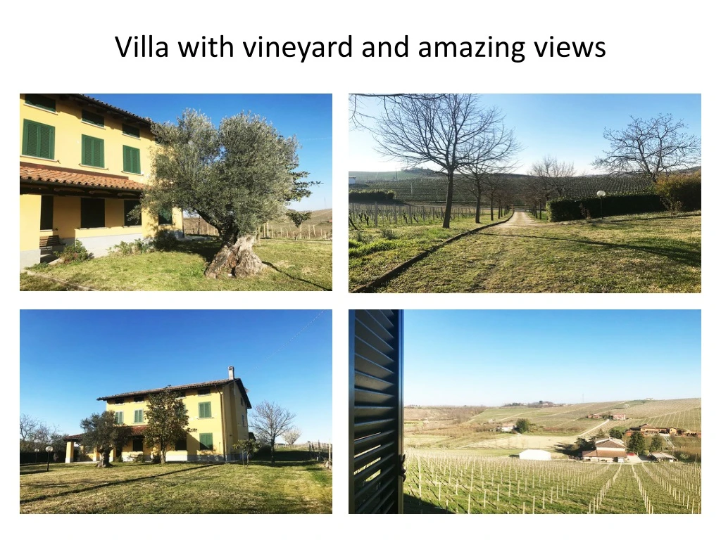 villa with vineyard and amazing views