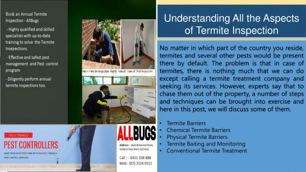 Understanding All the Aspects of Termite Inspection