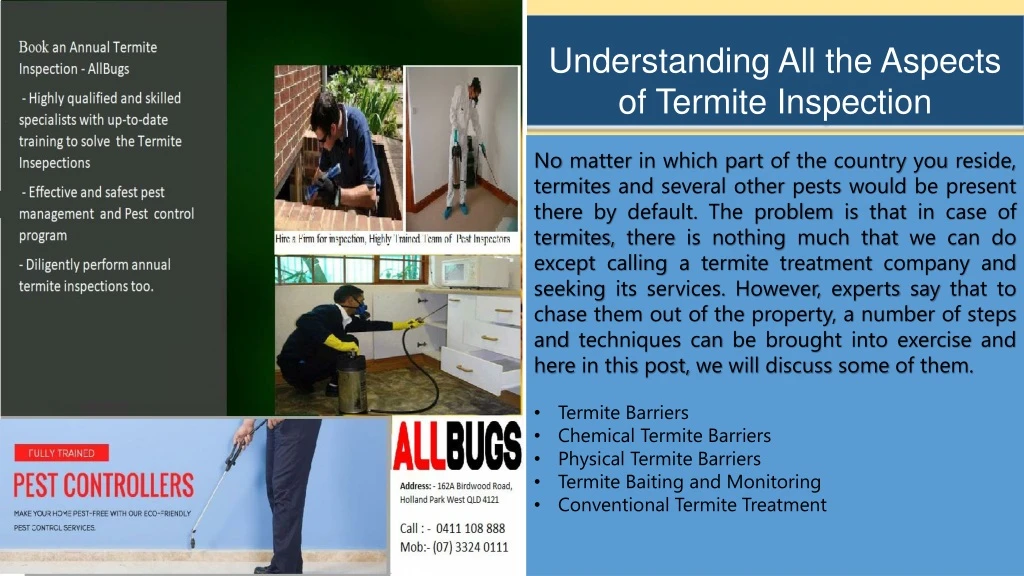 understanding all the aspects of termite inspection