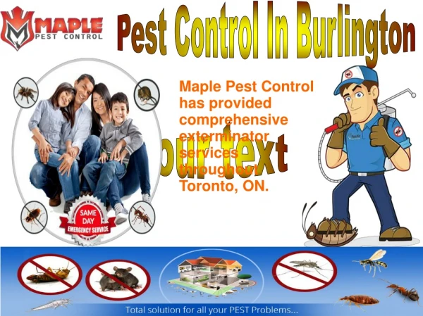 Pest Control In Burlington