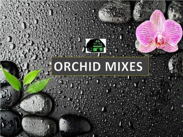 Best orchid mixes for phalaenopsis orchids