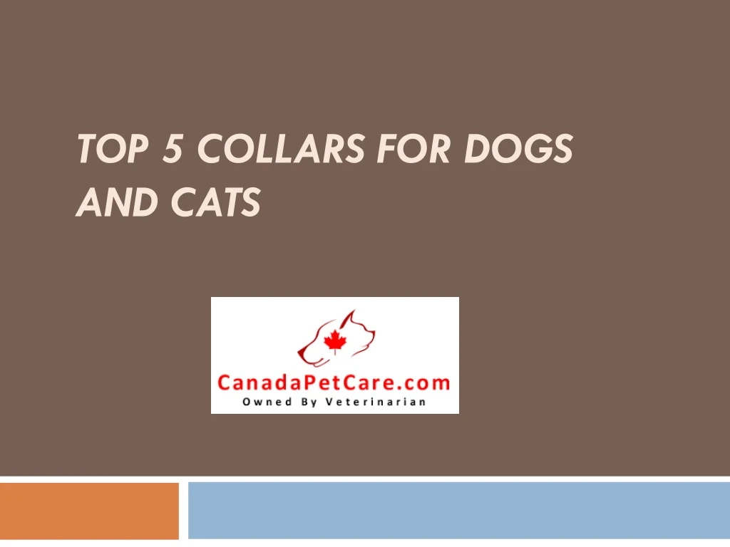 top 5 collars for dogs and cats