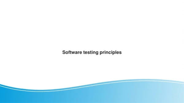 Software testing principles