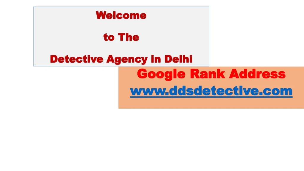 welcome to t he detective agency in delhi