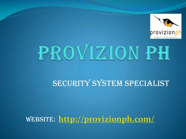 Pro-Vizion Solutions Inc