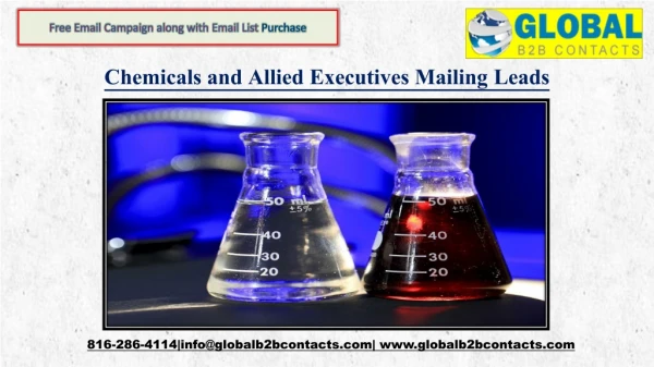 free email campaign along with email list purchase