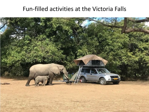 Fun-filled activities at the Victoria Falls