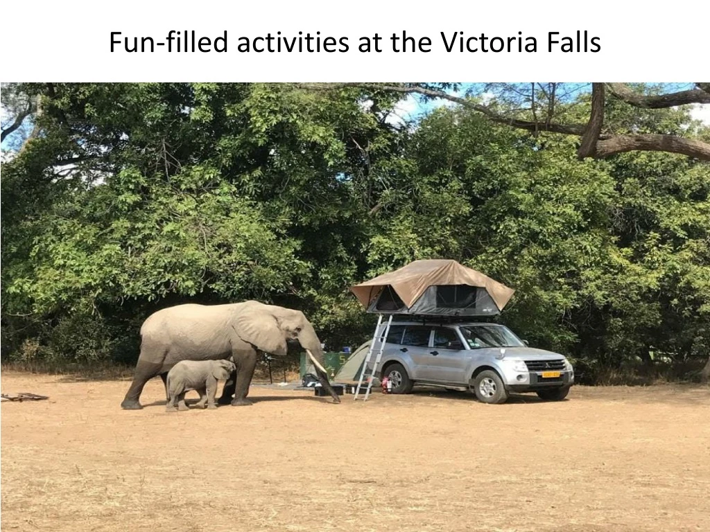 fun filled activities at the victoria falls