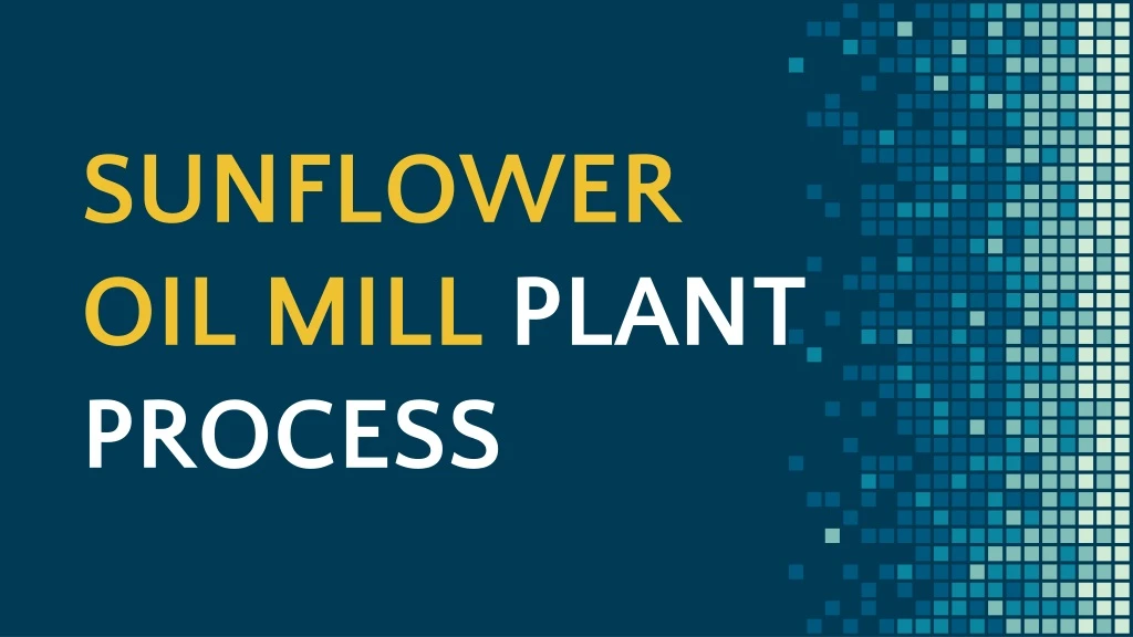 sunflower oil mill plant process