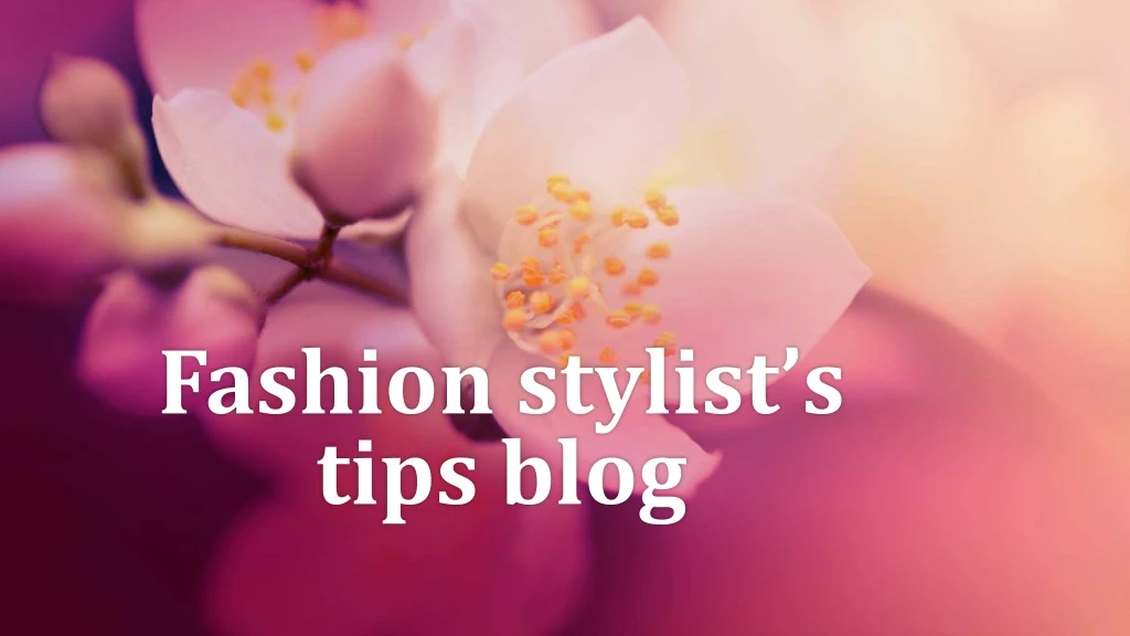fashion stylist s tips blog
