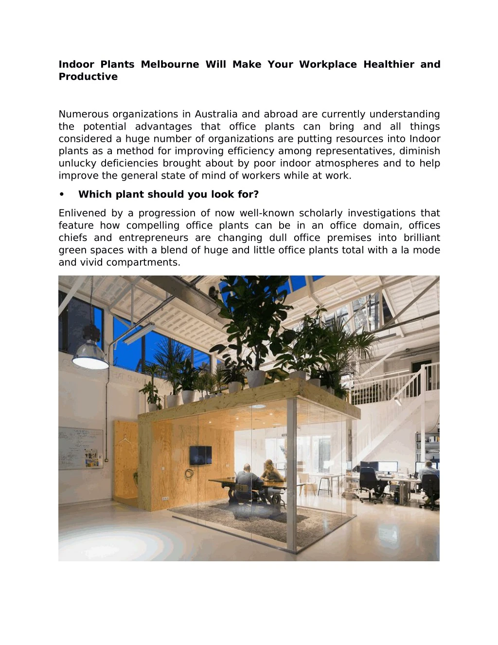 indoor plants melbourne will make your workplace