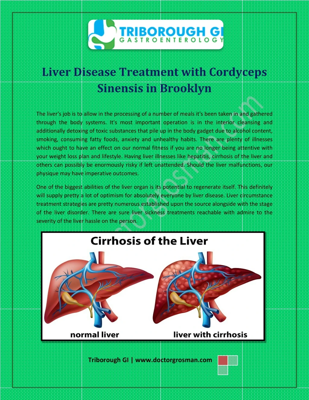 liver disease treatment with cordyceps sinensis