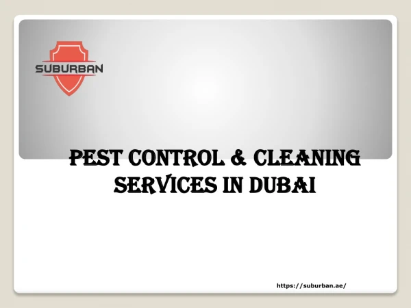 Pest control & Cleaning services Dubai