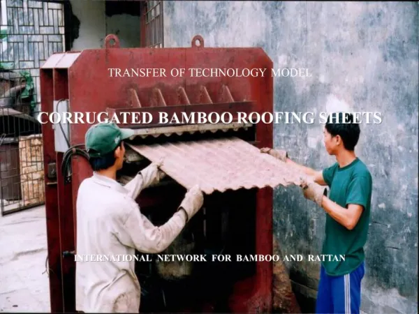 TRANSFER OF TECHNOLOGY MODEL CORRUGATED BAMBOO ROOFING SHEETS