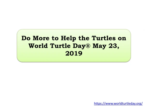 Do More to Help the Turtles On World Turtle Day® May 23, 2019